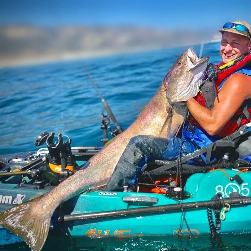 Why Healthy Bait Catches More Fish